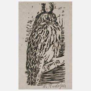 Prof. Wilhelm Rudolph, Sitzender Uhu