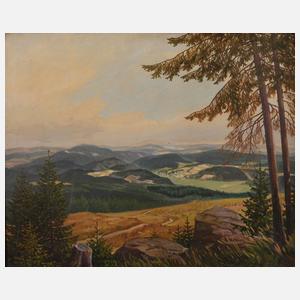 Paul Schmidt-Roller, "Voigtsgrün Richtung CSSR"