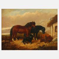 George Armfield, attr., Pferde mit Hund111