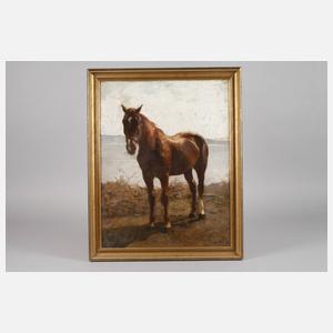 Prof. Hermann Baisch, Pferdeportrait