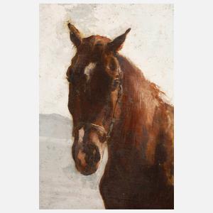 Prof. Hermann Baisch, Pferdeportrait