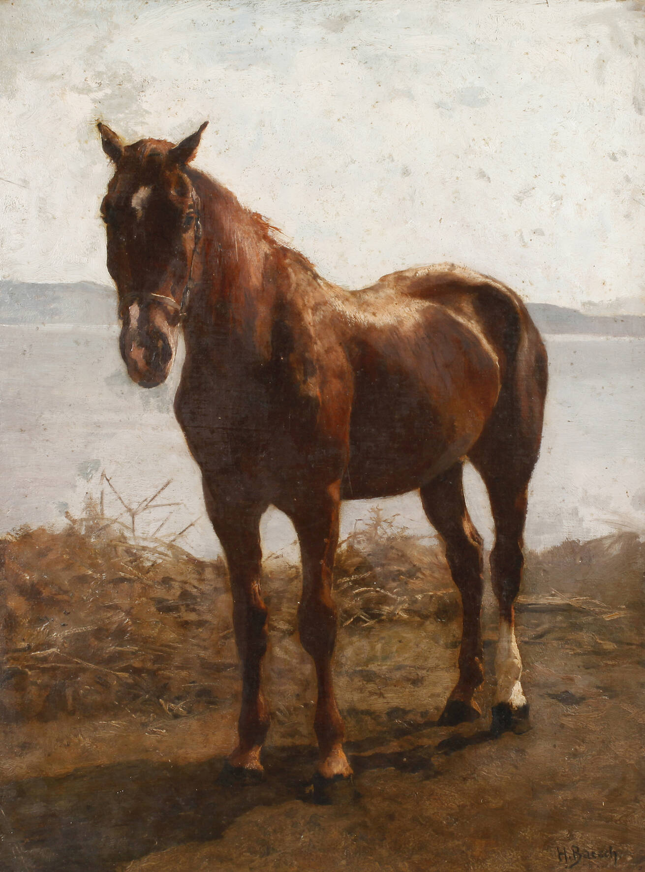 Prof. Hermann Baisch, Pferdeportrait