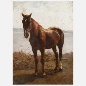 Prof. Hermann Baisch, Pferdeportrait