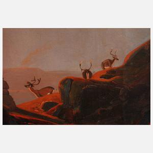 Romantische Landschaft im Sonnenuntergang