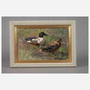 Ernst Ludwig von Aster, "Löffelenten"