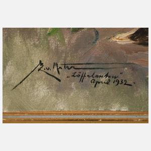 Ernst Ludwig von Aster, "Löffelenten"