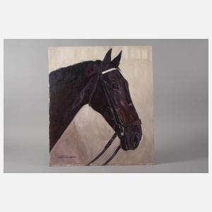 Hellmut Bachara-Barée, Hengstportrait