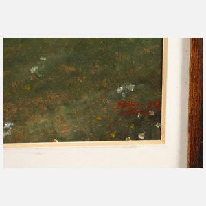 Wolfram Diehl, Löwenzahn in Landschaft