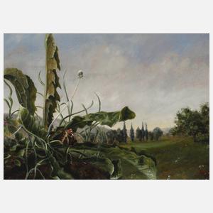 Wolfram Diehl, Löwenzahn in Landschaft