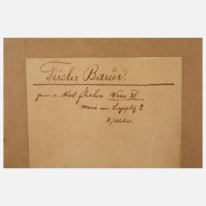 Karl Flieher, "Tiroler Bauer"