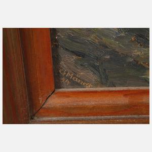 Georg Hänel, Der Aufstieg