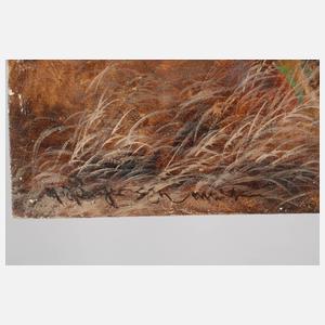 Max Hänger sen., Balzender Auerhahn