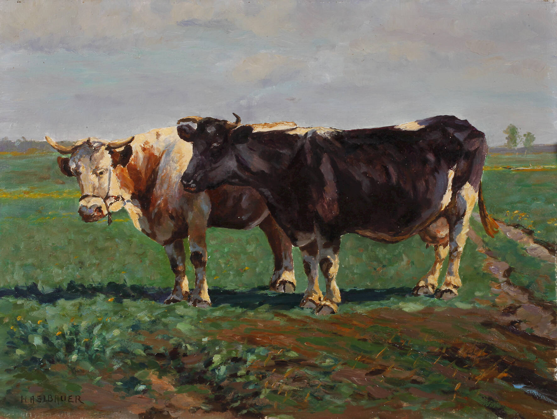 Paul Haslbauer, Rinder auf der Weide