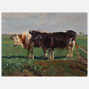Paul Haslbauer, Rinder auf der Weide