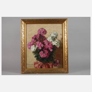 Fritz Hildebrandt, Phlox