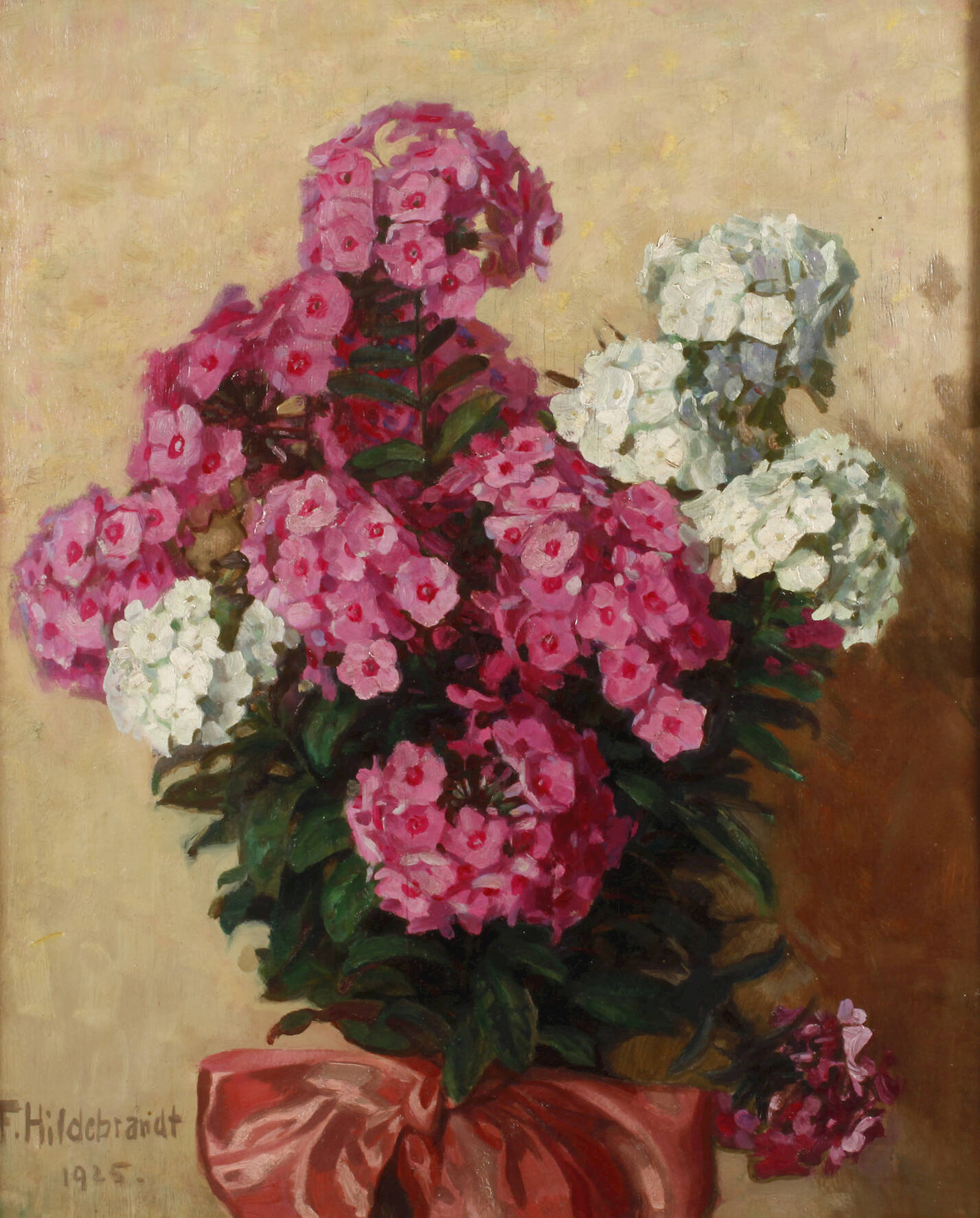Fritz Hildebrandt, Phlox