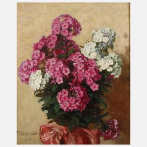 Fritz Hildebrandt, Phlox