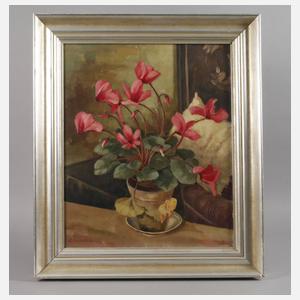 Frantz von Jackowsky, Alpenveilchen