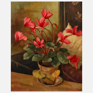 Frantz von Jackowsky, Alpenveilchen