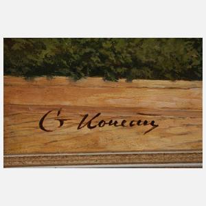 G. Konecny, Stadtansicht Bielsko-Biała