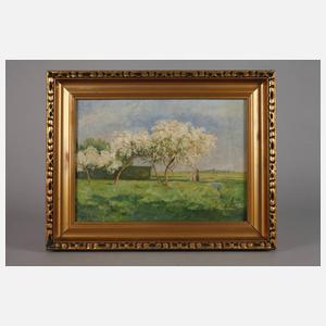 Mary Lührs, Baumblüte