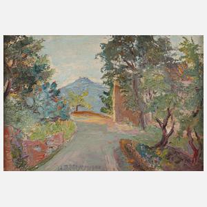 Hans Rudolf Meyer, "Bergweg"