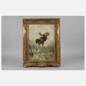 Moritz Pathé der Jüngere, Elch in sumpfiger Landschaft