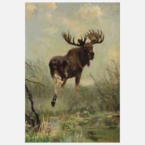 Moritz Pathé der Jüngere, Elch in sumpfiger Landschaft