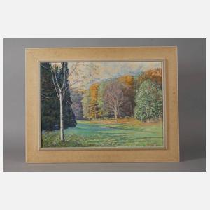 W. Schäfer, Spätsommerliche Waldlichtung