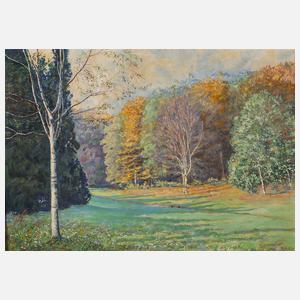 W. Schäfer, Spätsommerliche Waldlichtung