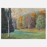 W. Schäfer, Spätsommerliche Waldlichtung111