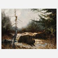 Arnold Schatz, Wildschweinrotte im Winterwald111
