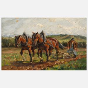 H. Schütz, Pflügender Bauer