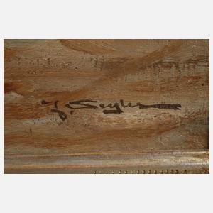 Prof. Julius Seyler, Segelboot an der Küste