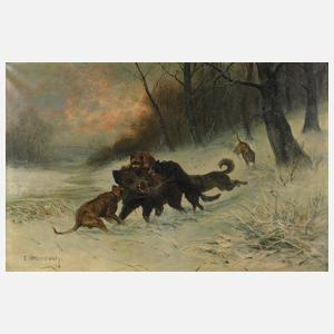 Eduard Steinbach, Eberjagd