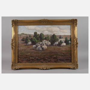 Willy Tiedjen, Schafe in der Lüneburger Heide