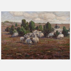 Willy Tiedjen, Schafe in der Lüneburger Heide