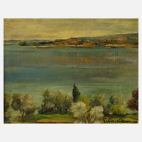 Felice Vellan, Am See111