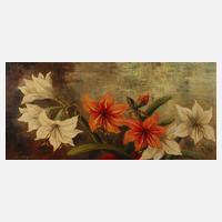 H. Vogel, Amaryllis111