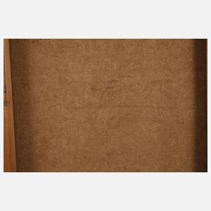 Portrait eines Roma-Mädchens