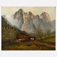 Bauernhaus in Hochgebirgslandschaft111