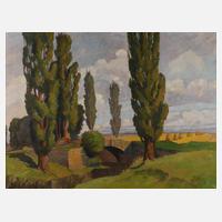 Sommerlandschaft mit Brücke111