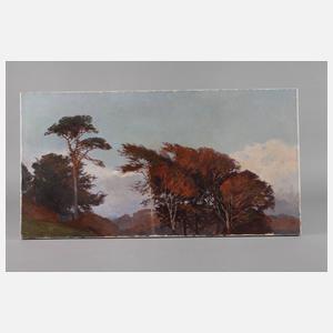 Baumgruppe im Herbst