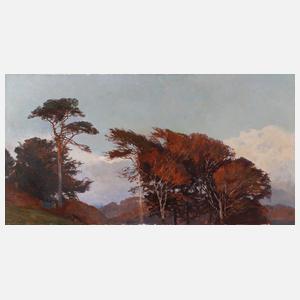 Baumgruppe im Herbst