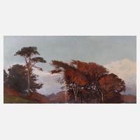 Baumgruppe im Herbst111