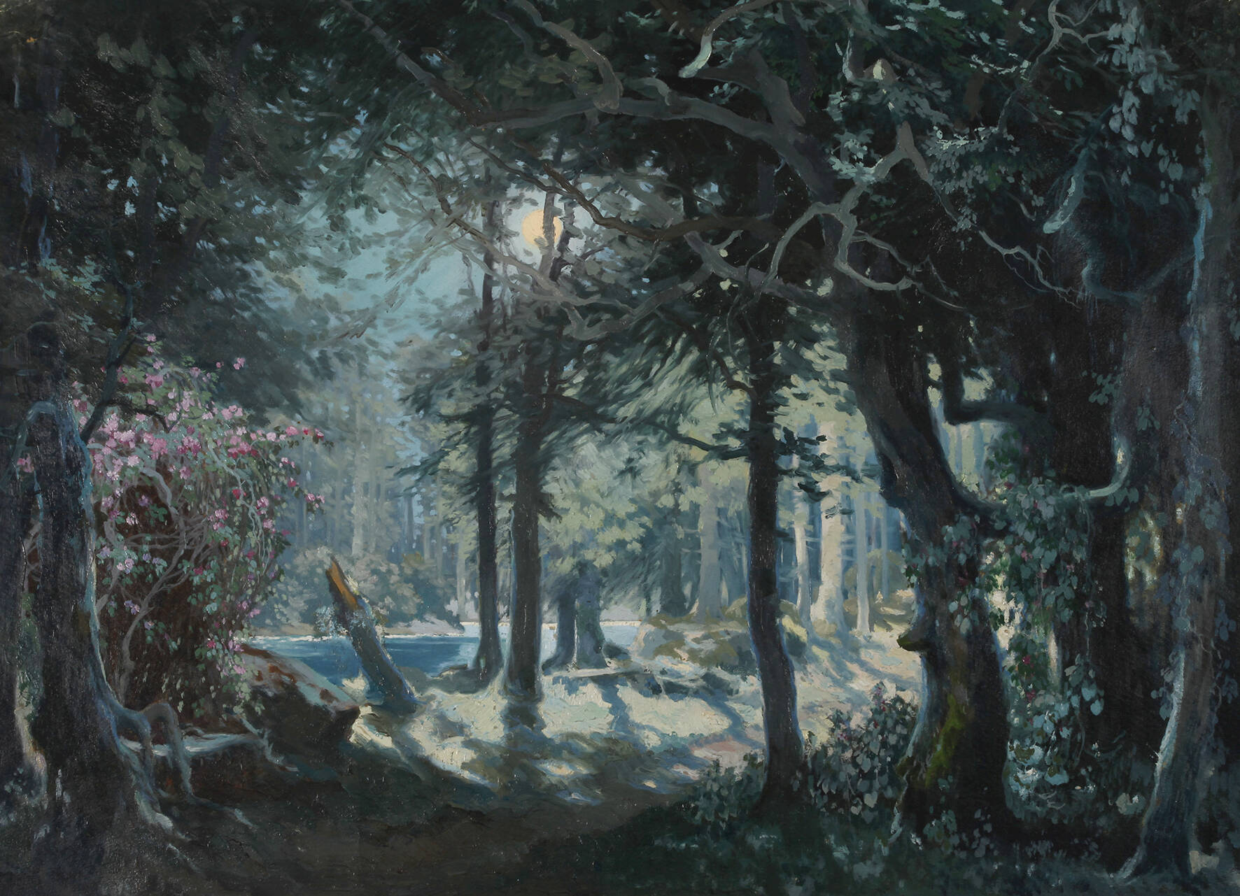 Nächtliche Waldlandschaft