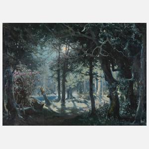 Nächtliche Waldlandschaft