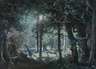 Nächtliche Waldlandschaft