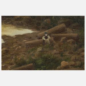 Abendliche Fjordlandschaft