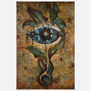 Miroslav Kalina, Komposition mit Auge